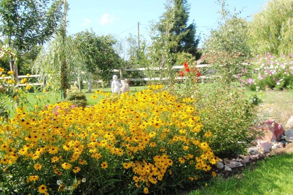 Photo of Outdoor in Les Authieux-Papion