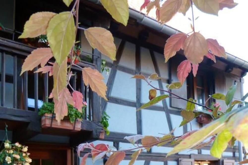 Photo of Others in Wingersheim