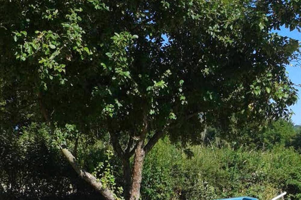 Photo of Outdoor in Thil-sur-Arroux