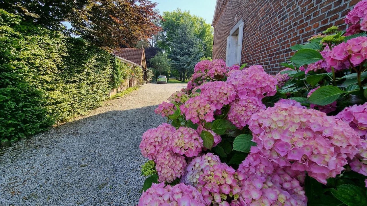 Photo of Outdoor in Hecq