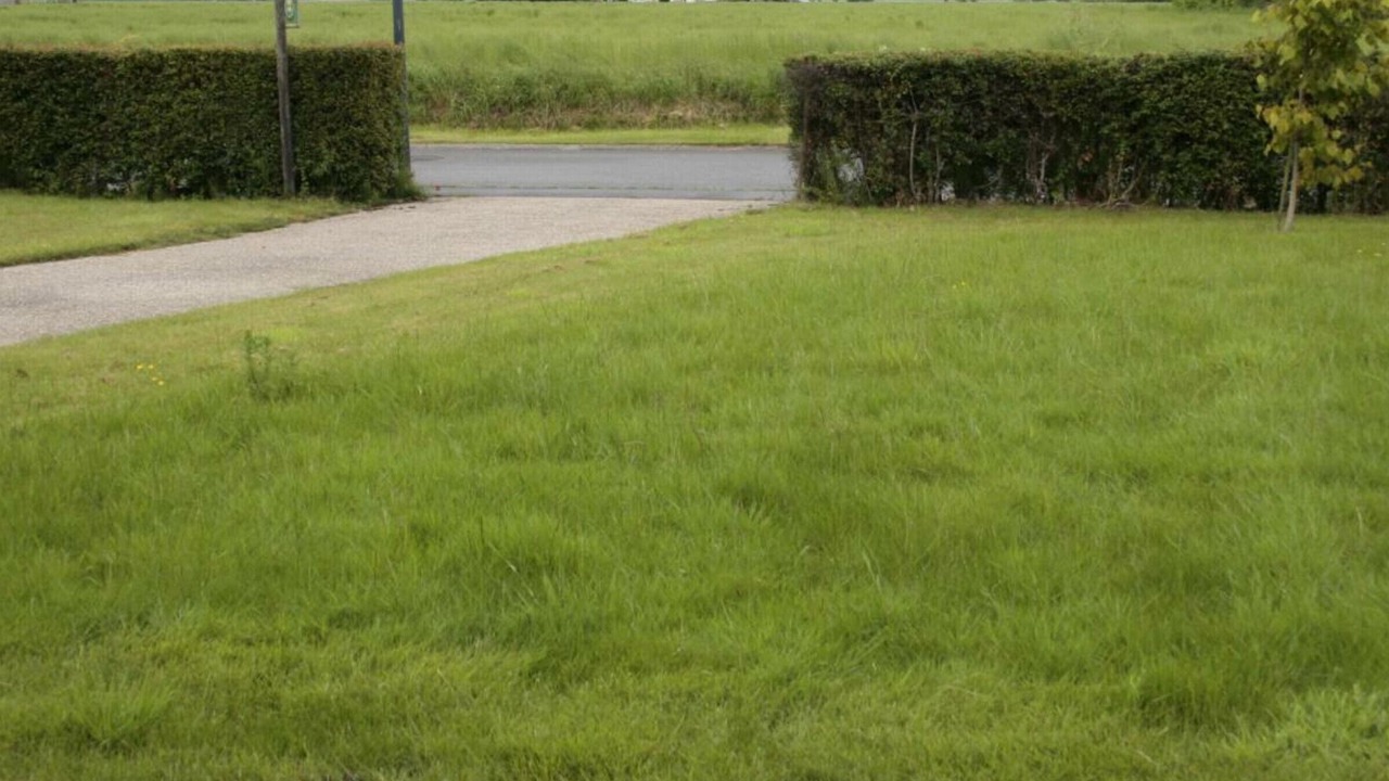 Photo of Others in Esquelbecq