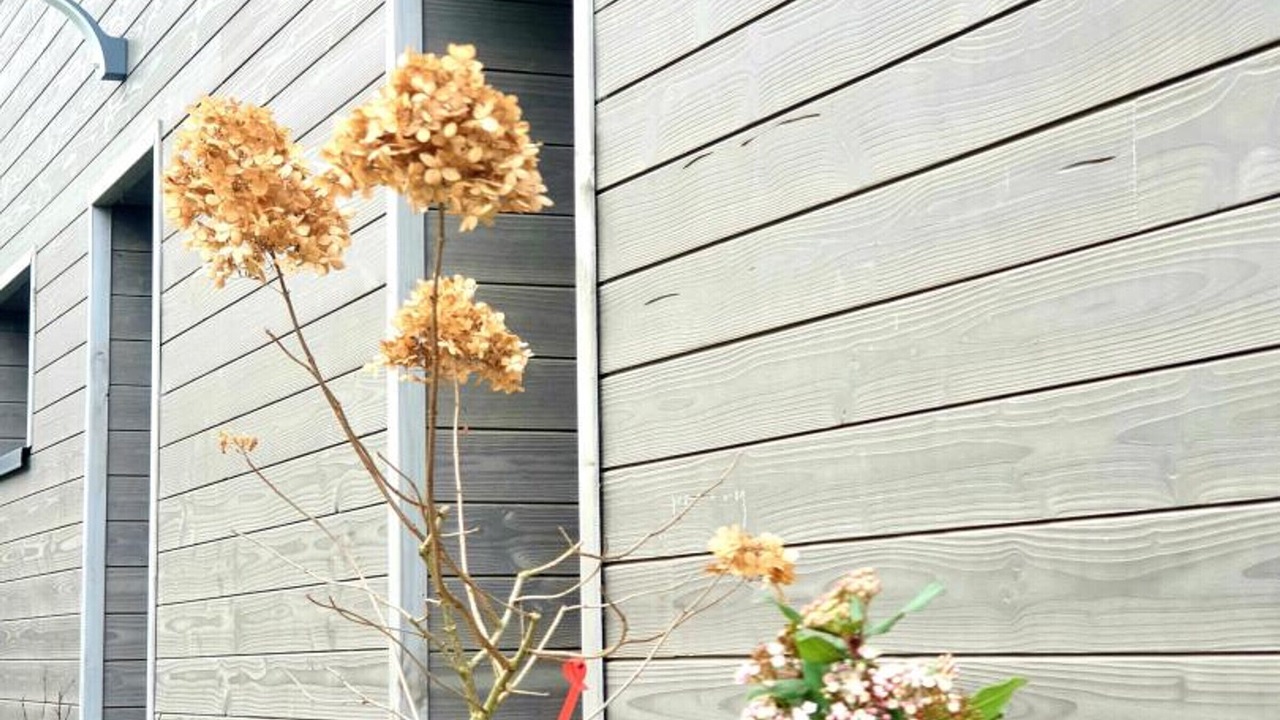 Photo of Outdoor in Sebourg