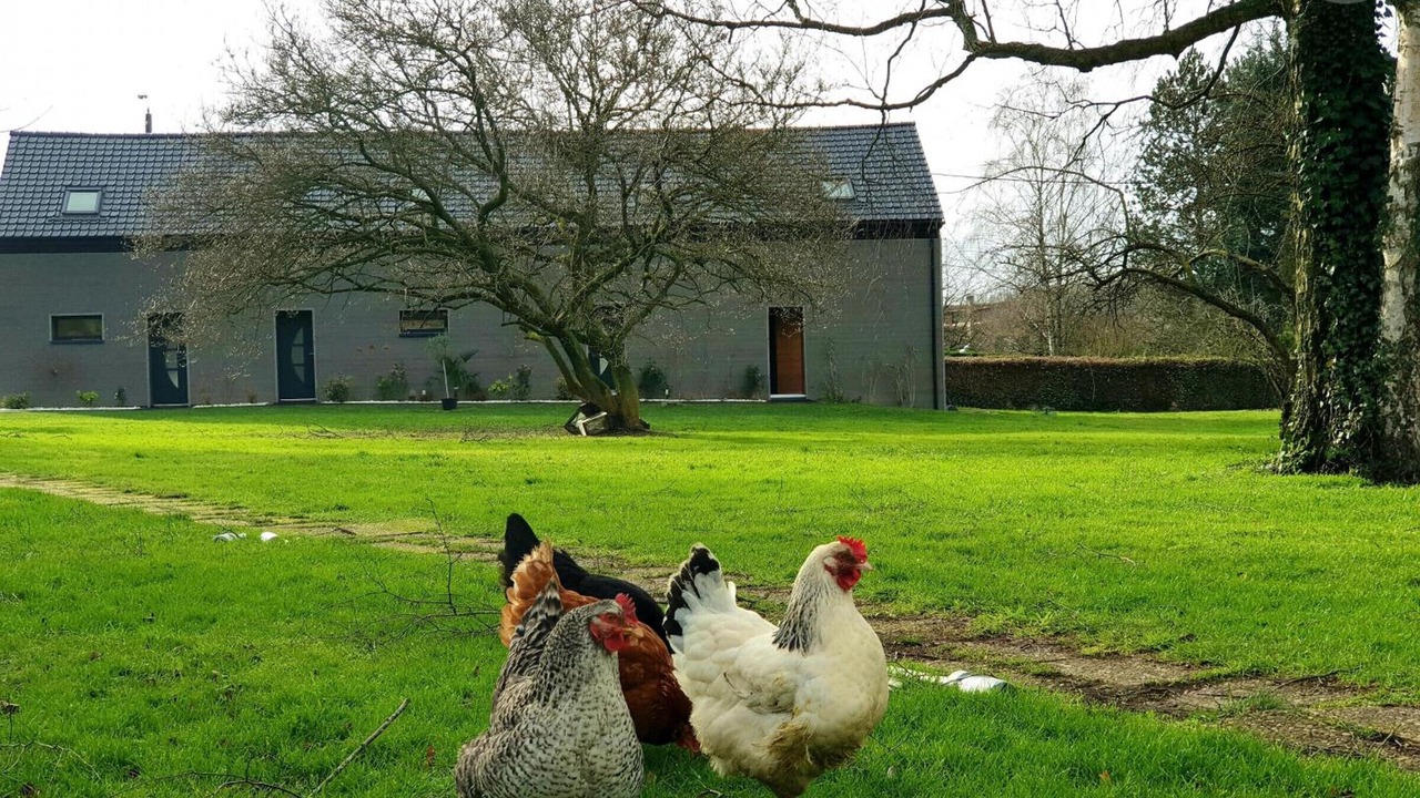 Photo of Outdoor in Sebourg