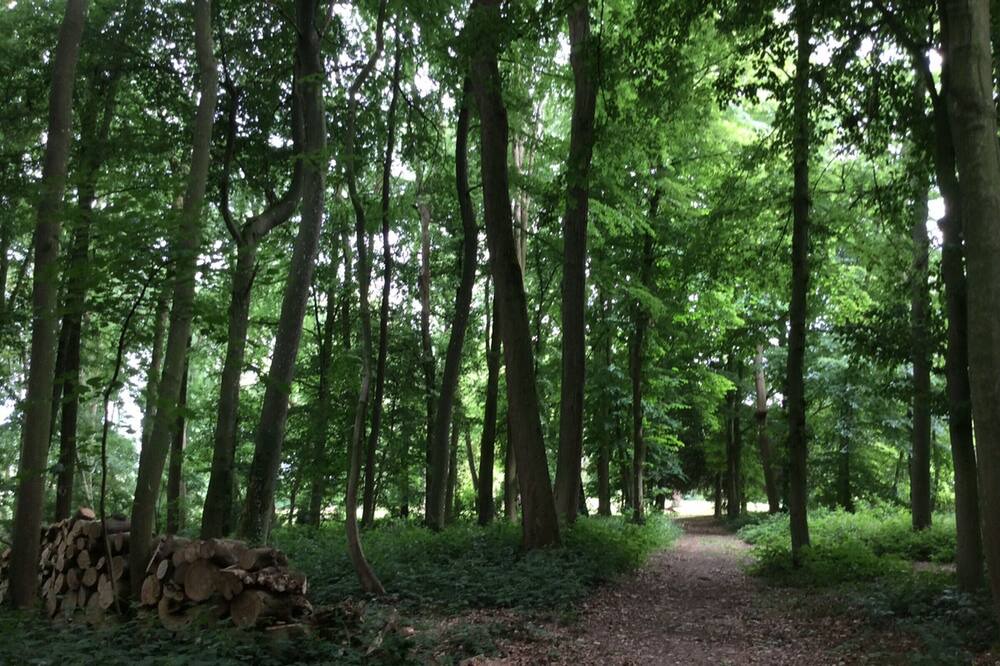 Photo of Outdoor in Walincourt-Selvigny