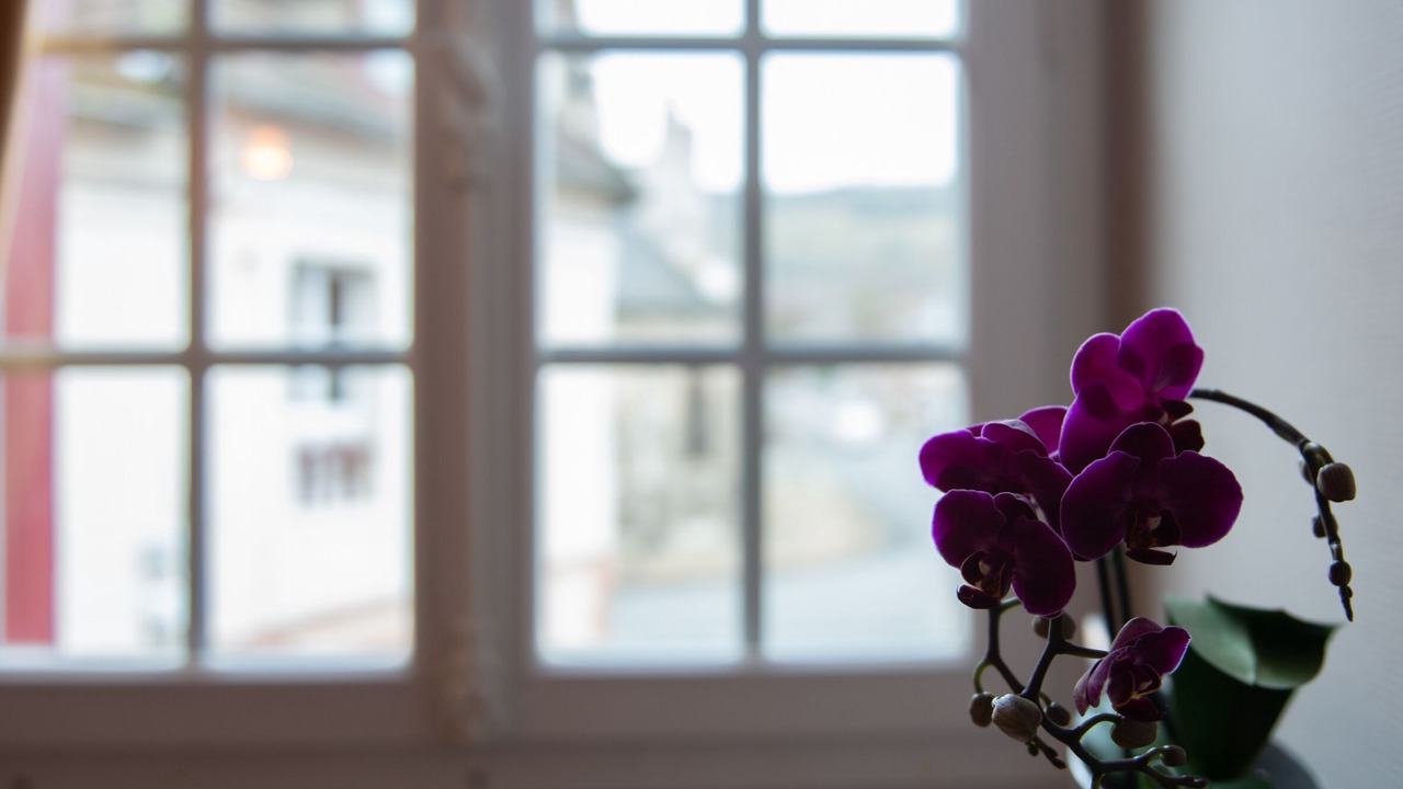 Photo of Bedroom in Les Andelys