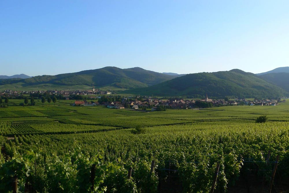 Photo of Others in Kientzheim
