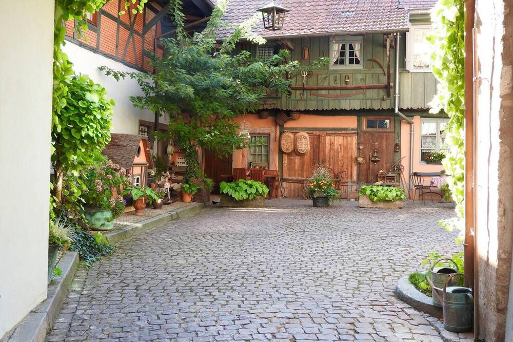 Photo of Others in Kientzheim