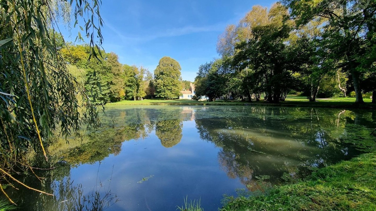 Photo of Others in Rochefort-en-Yvelines