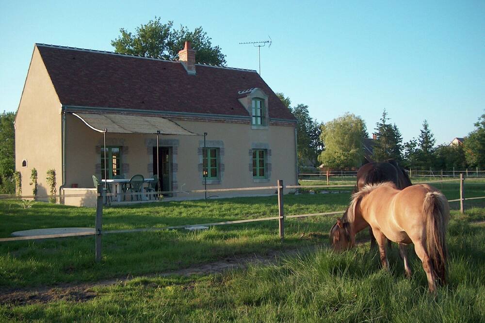 Photo of Outdoor in Vitry-aux-Loges