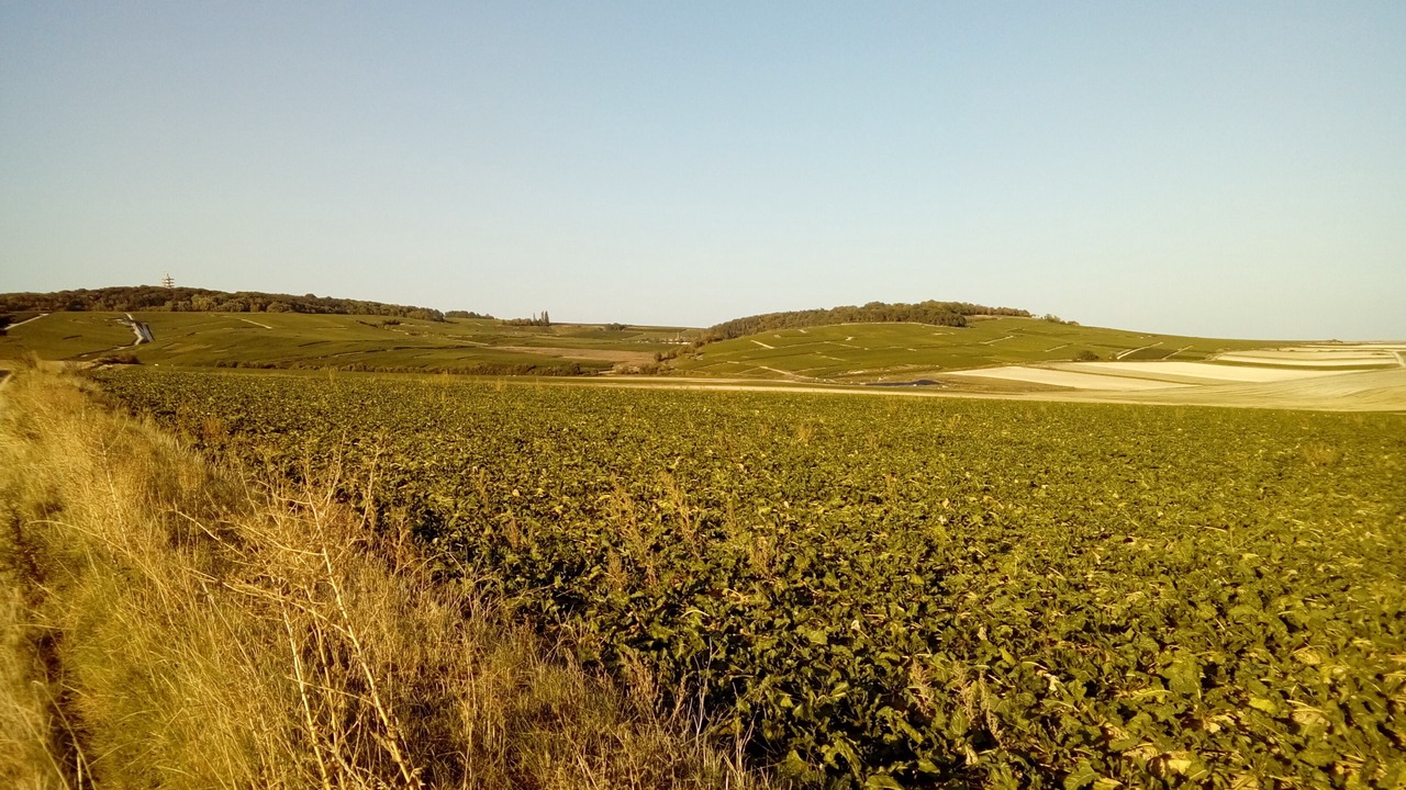 Photo of Others in Berru