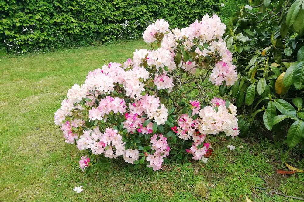 Photo of Outdoor in Saint-Ouen-sur-Iton