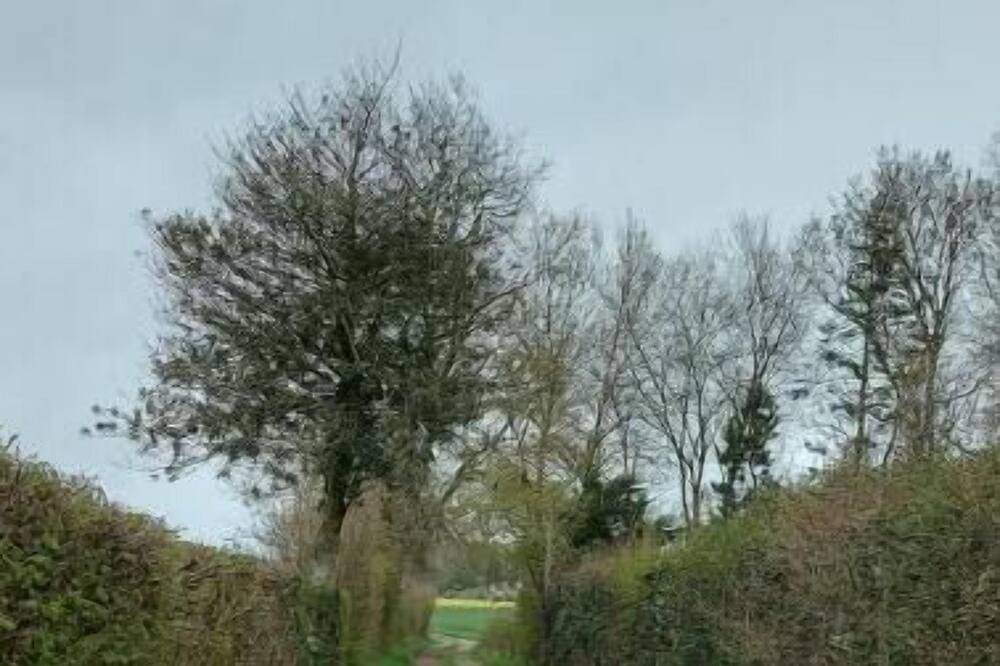 Photo of Outdoor in Saint-Ouen-sur-Iton