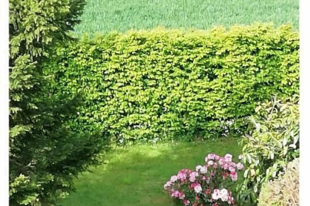 Photo of Outdoor in Saint-Ouen-sur-Iton