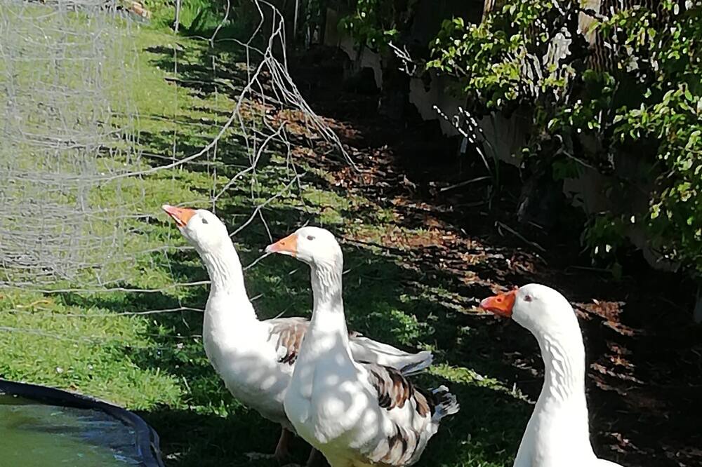 Photo of Outdoor in Saint-Ouen-sur-Iton