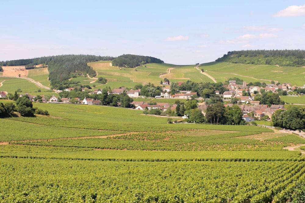 Photo of Others in Chaintre