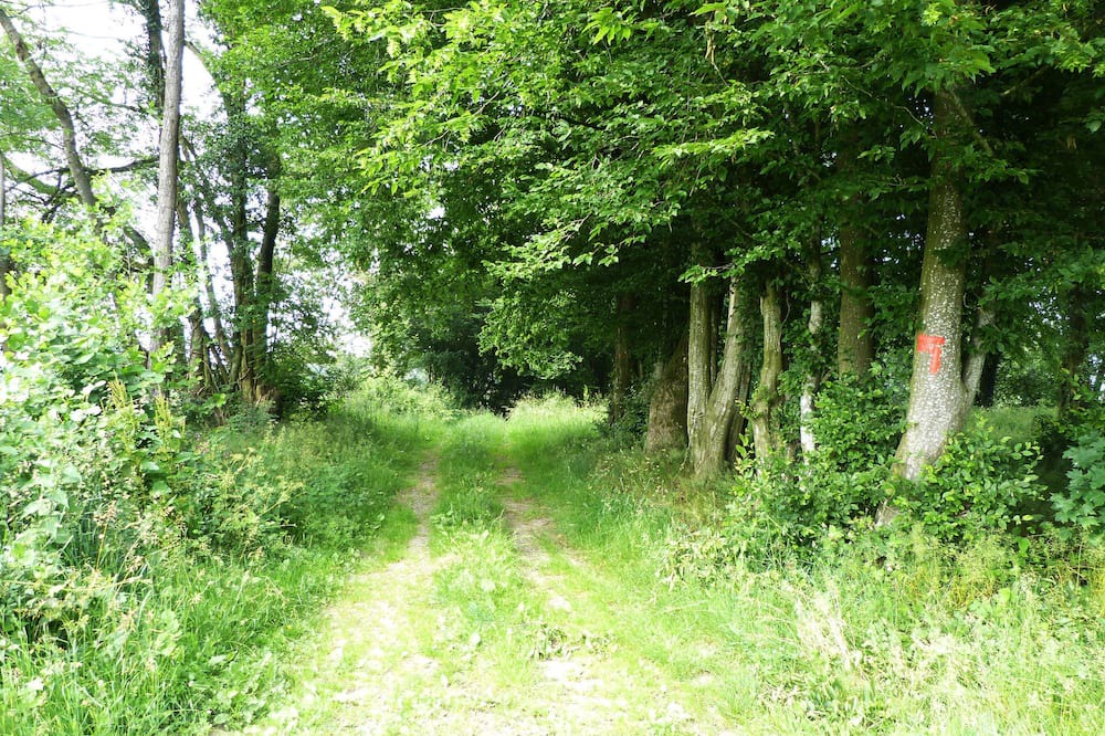 Photo of Others in La Neuville-aux-Joutes