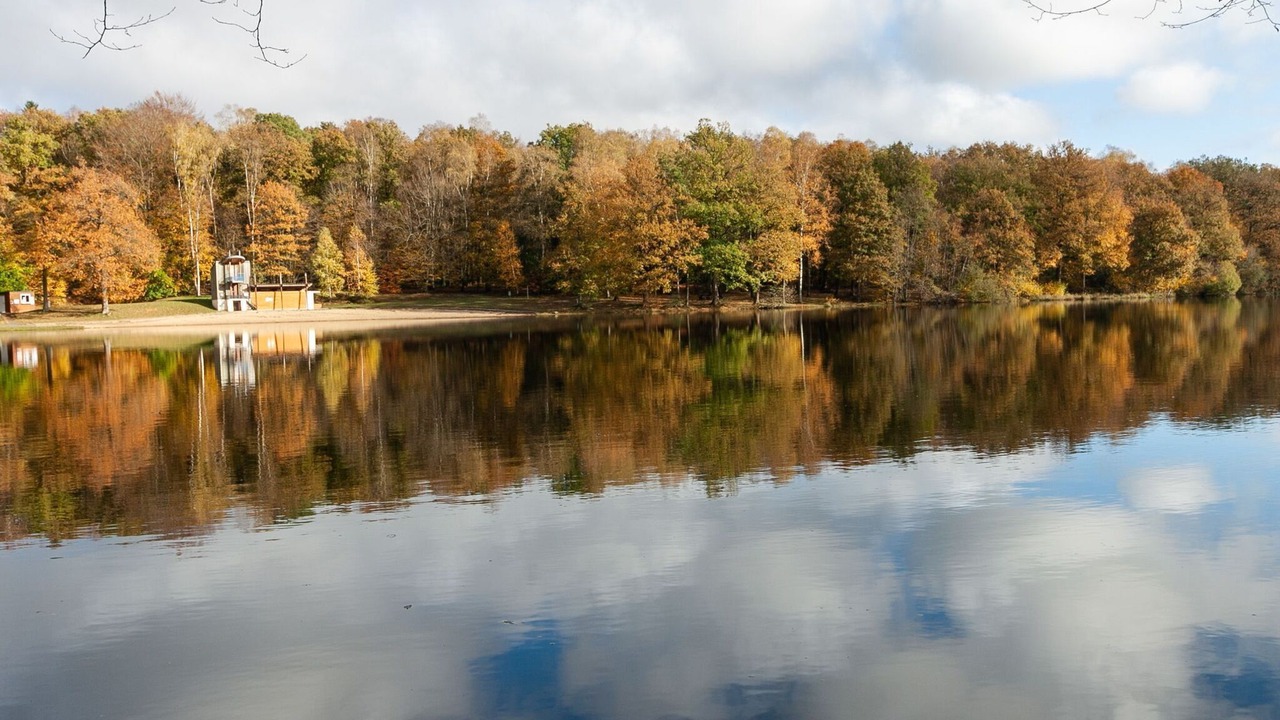 Photo of Outdoor in Signy-le-Petit