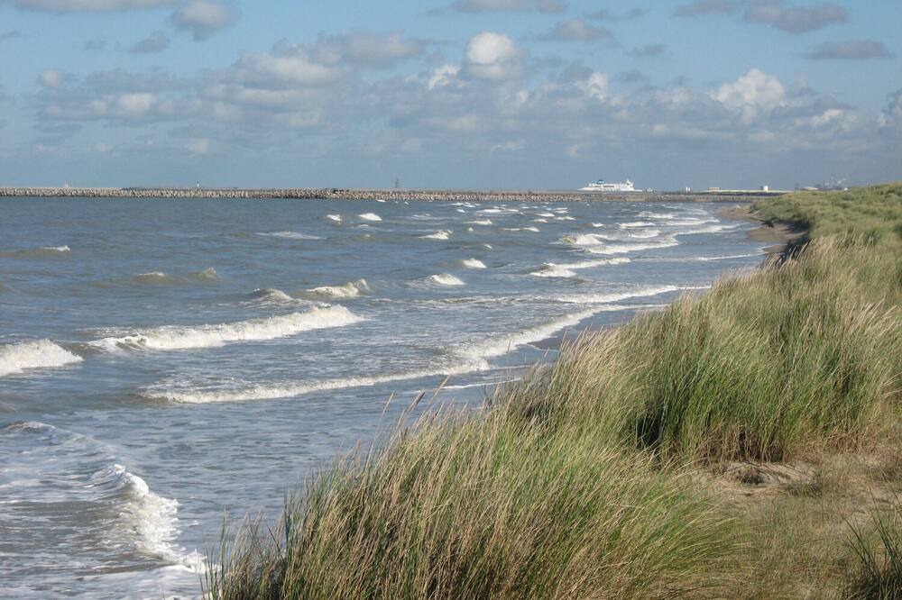 Photo of Others in Oye-Plage