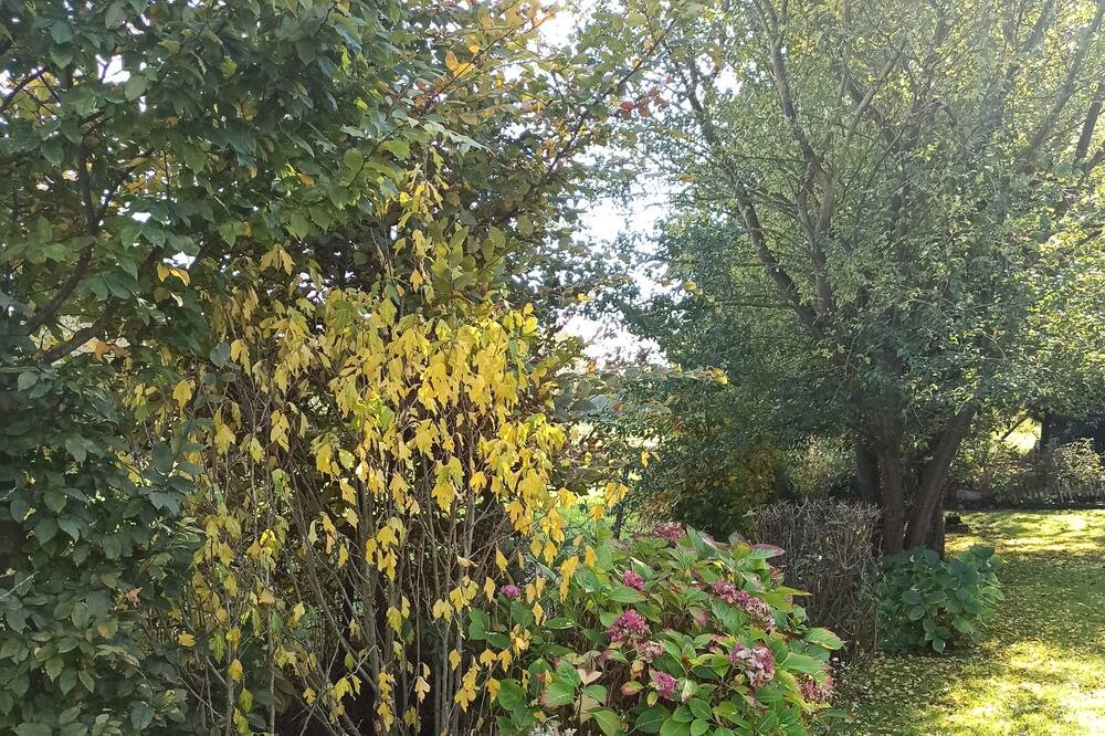 Photo of Outdoor in Tigny-Noyelle