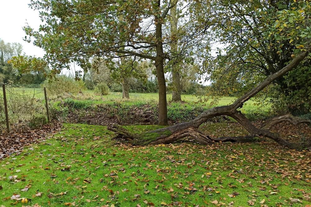 Photo of Outdoor in Tigny-Noyelle