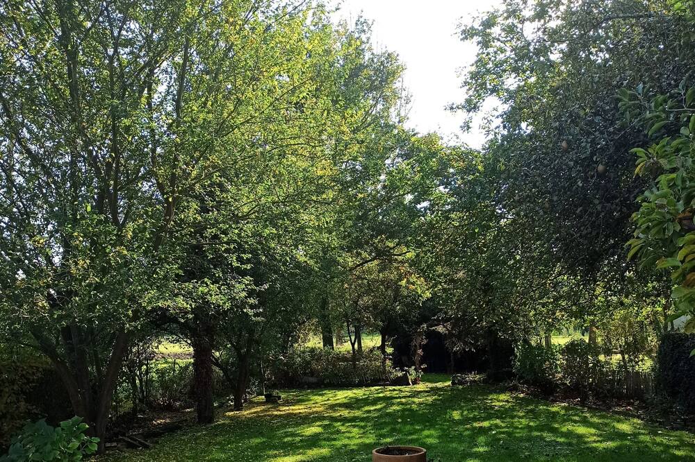 Photo of Outdoor in Tigny-Noyelle