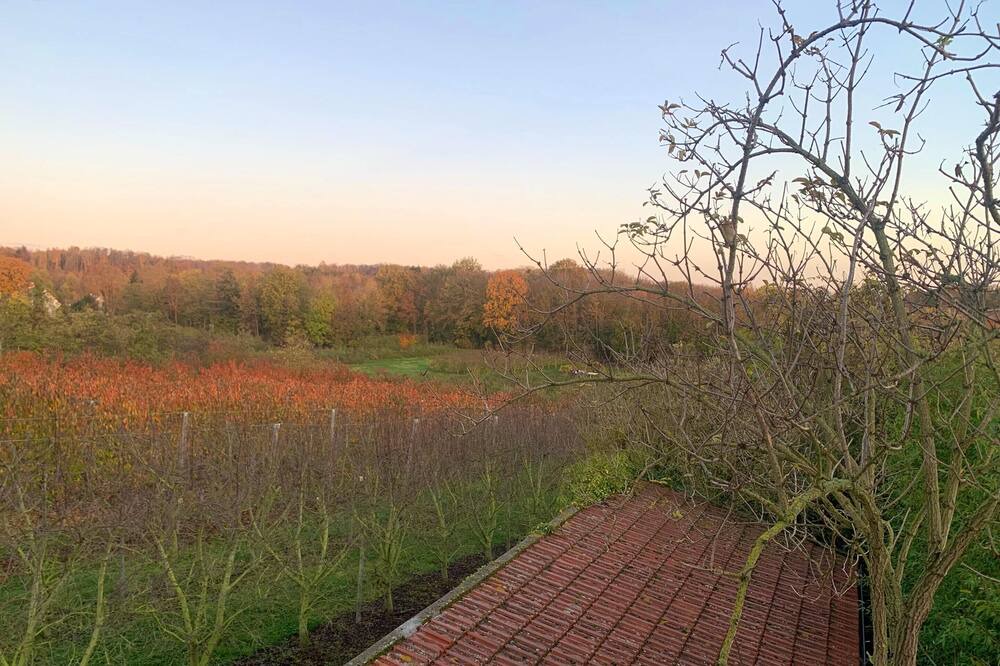 Photo of Outdoor in Saint-Brice-sous-Foret