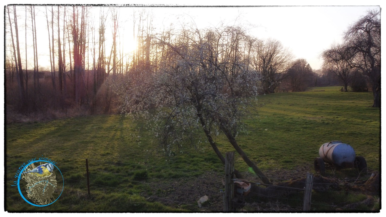 Photo of Outdoor in Neuville-lez-Beaulieu