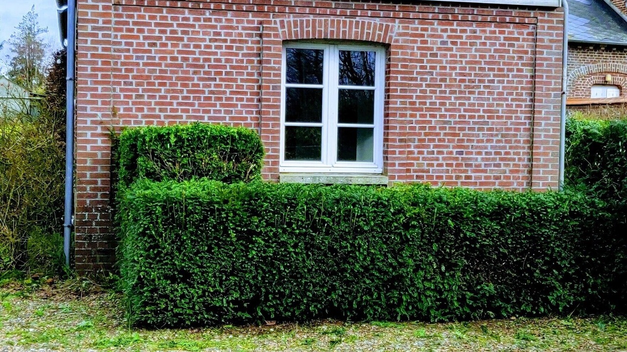 Photo of Outdoor in Bois-d'Ennebourg