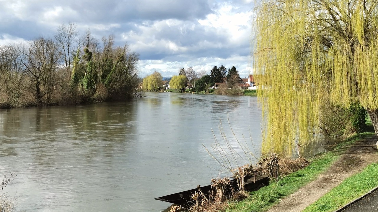 Photo of Outdoor in La Wantzenau