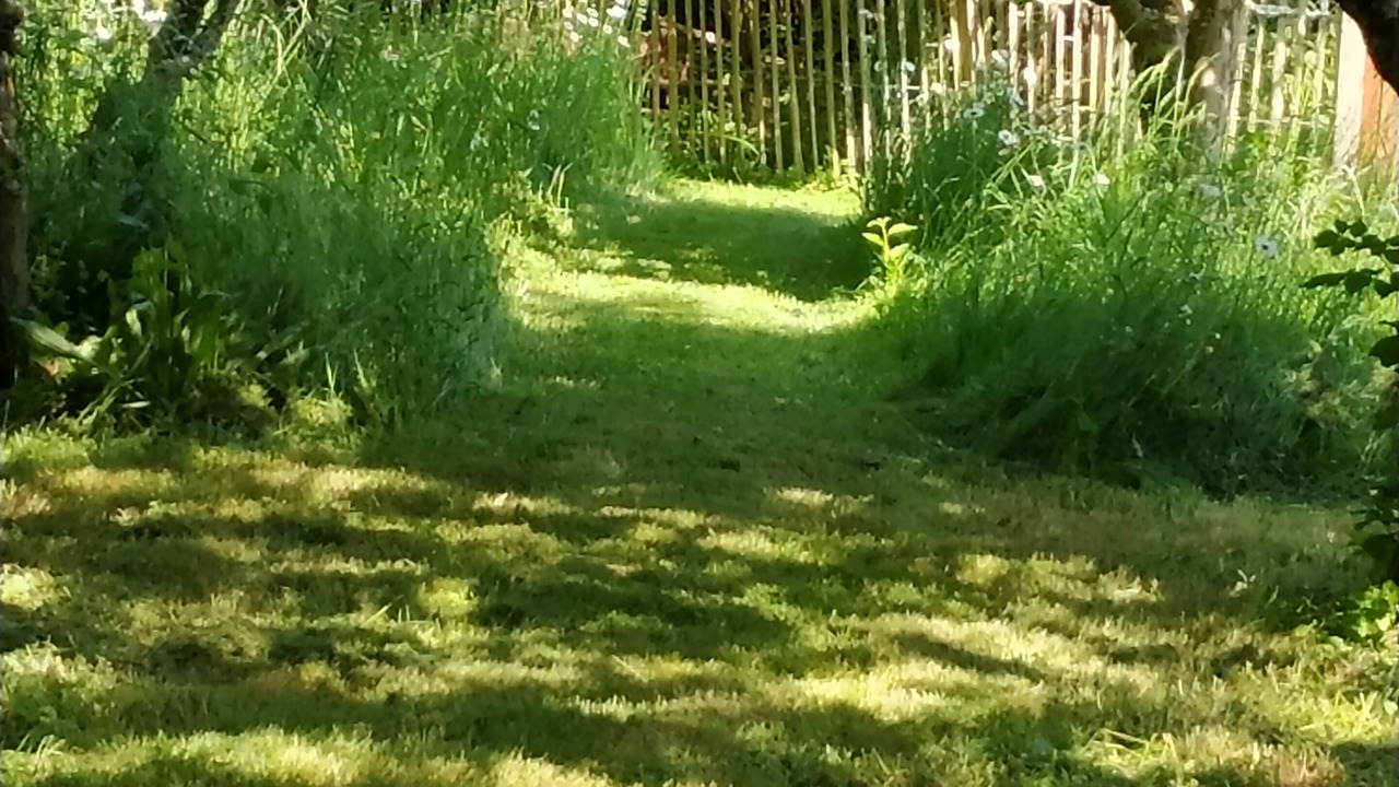 Photo of Outdoor in Marenla