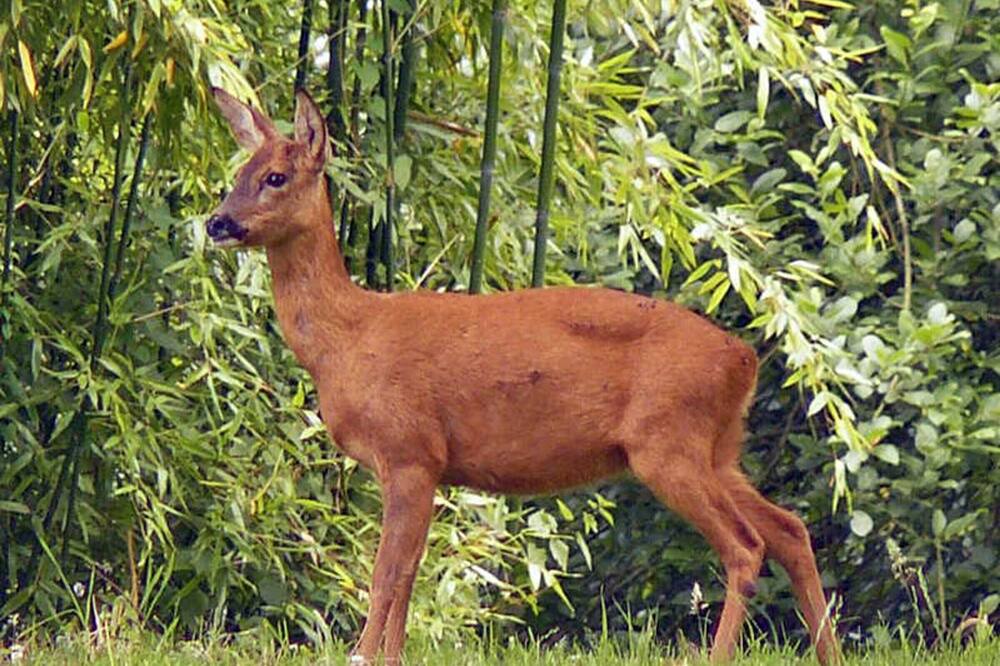 Photo of Others in Varneville-Bretteville