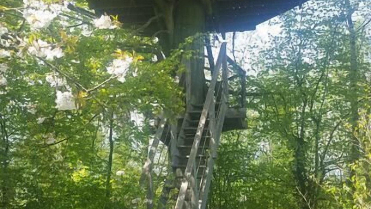 Photo of Outdoor in Wail