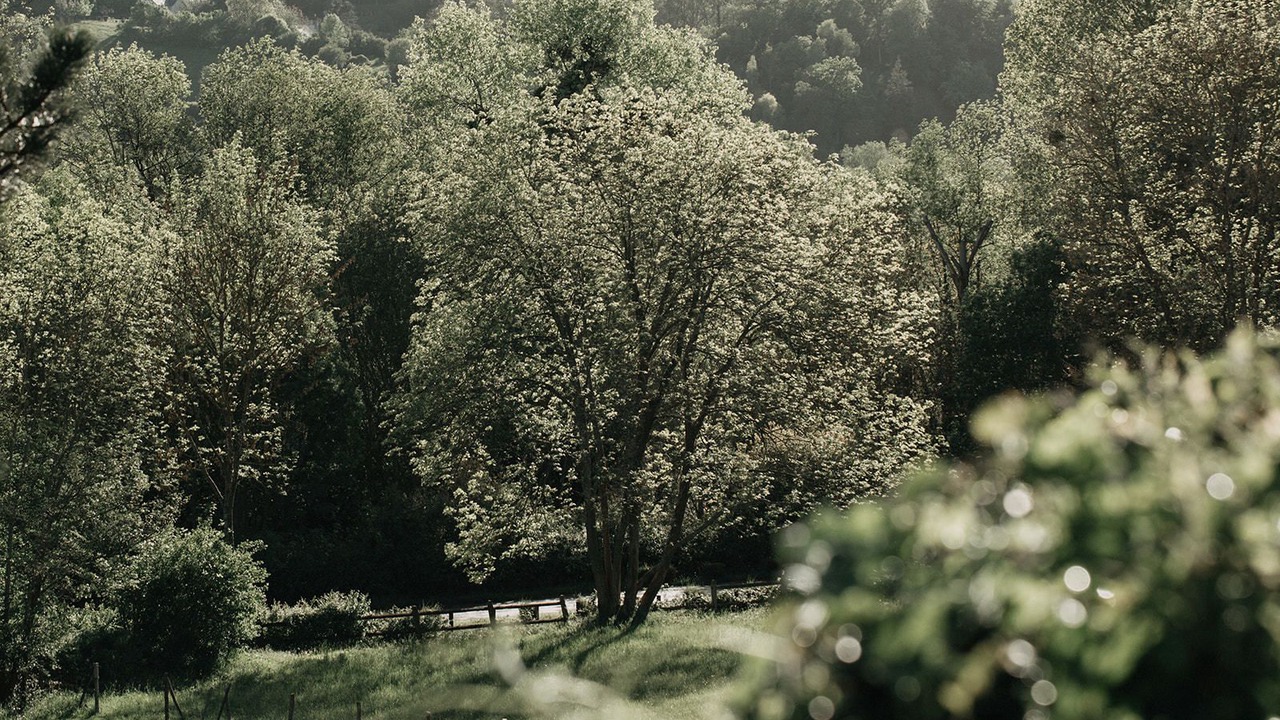 Photo of Outdoor in Giverny