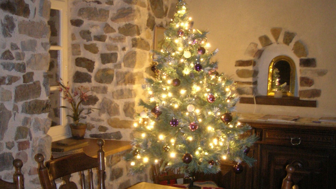 Photo of Others in Thorigne-en-Charnie