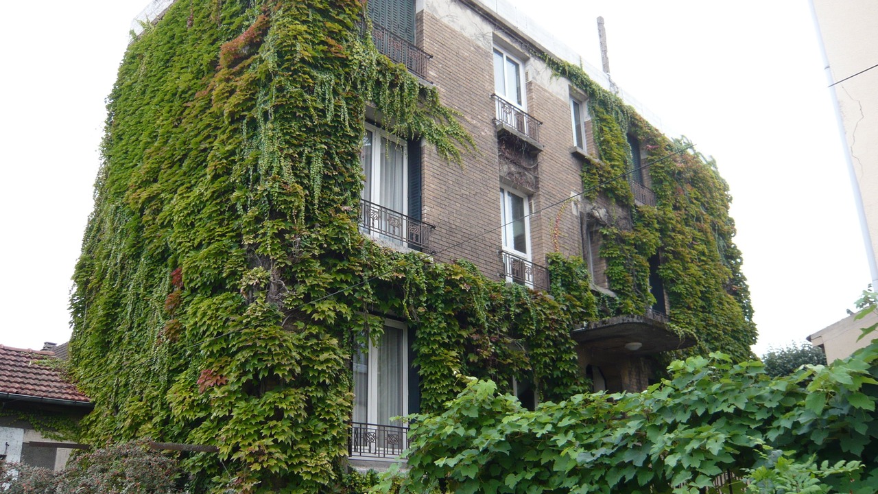 Photo of Outdoor in Le Blanc-Mesnil