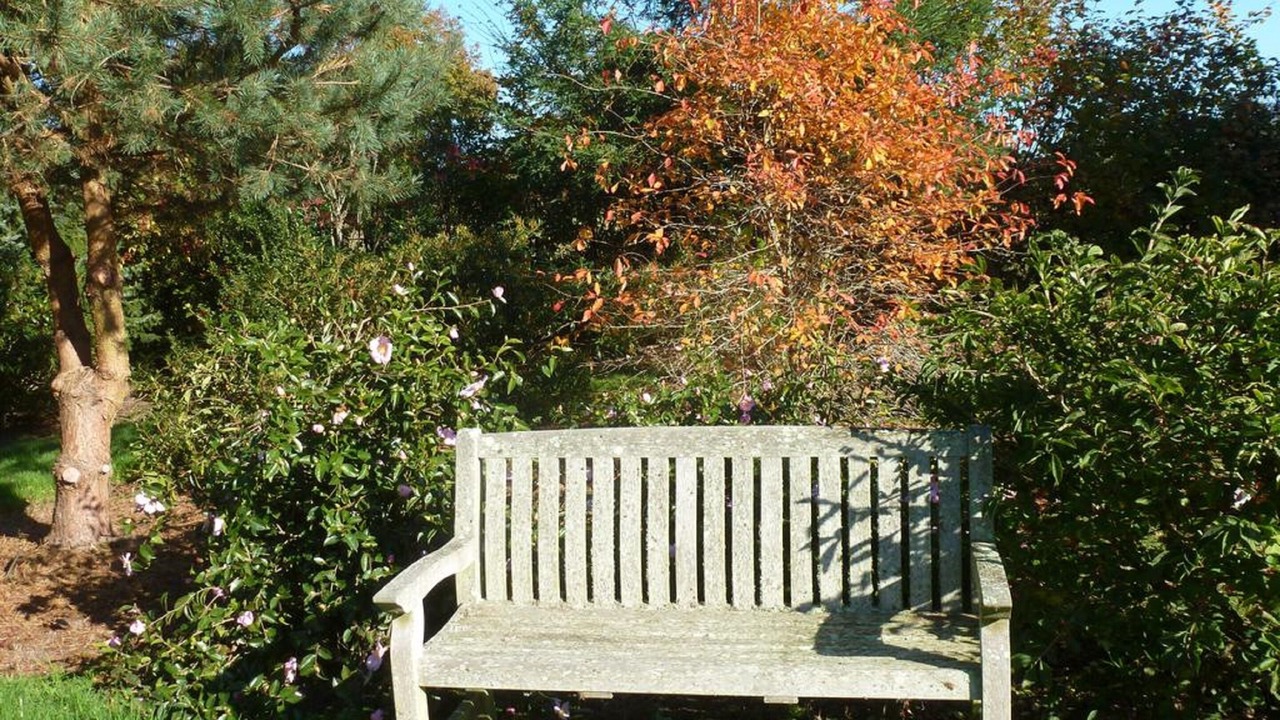Photo of Outdoor in Valognes