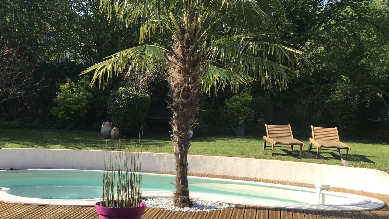 Photo of Outdoor in Ville-Saint-Jacques