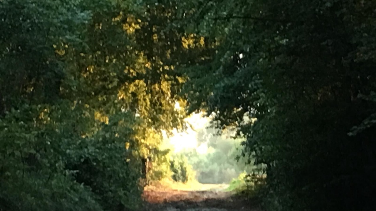 Photo of Outdoor in Reilly