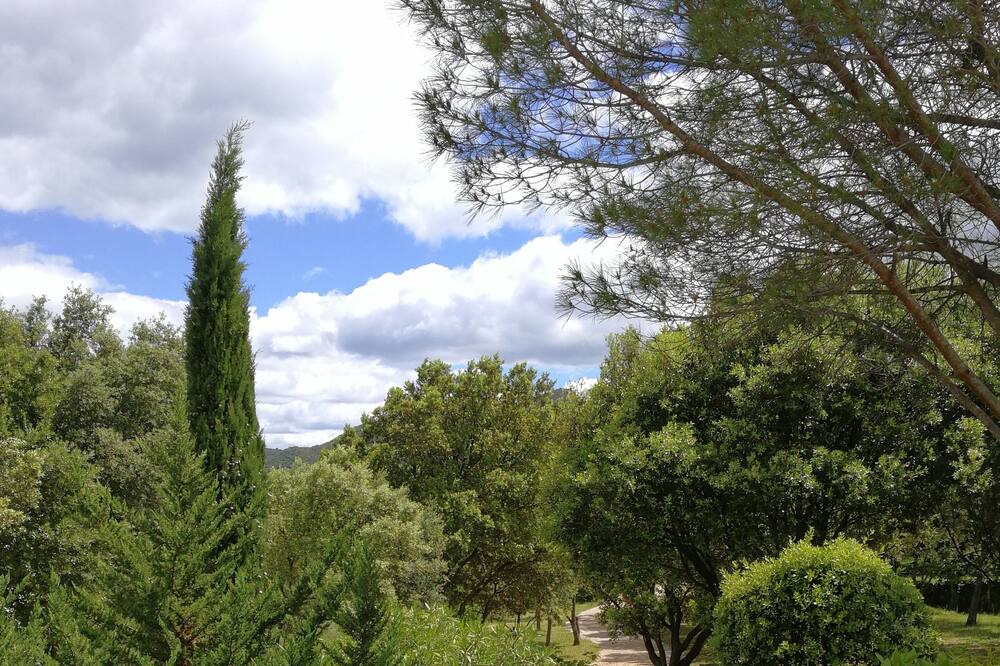 Photo of Outdoor in Pegairolles-de-Bueges