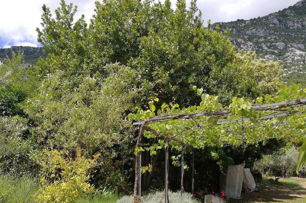 Photo of Outdoor in Pegairolles-de-Bueges