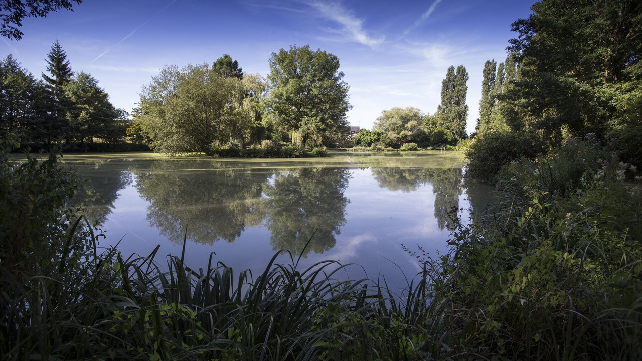 Photo of Outdoor in Perrusson
