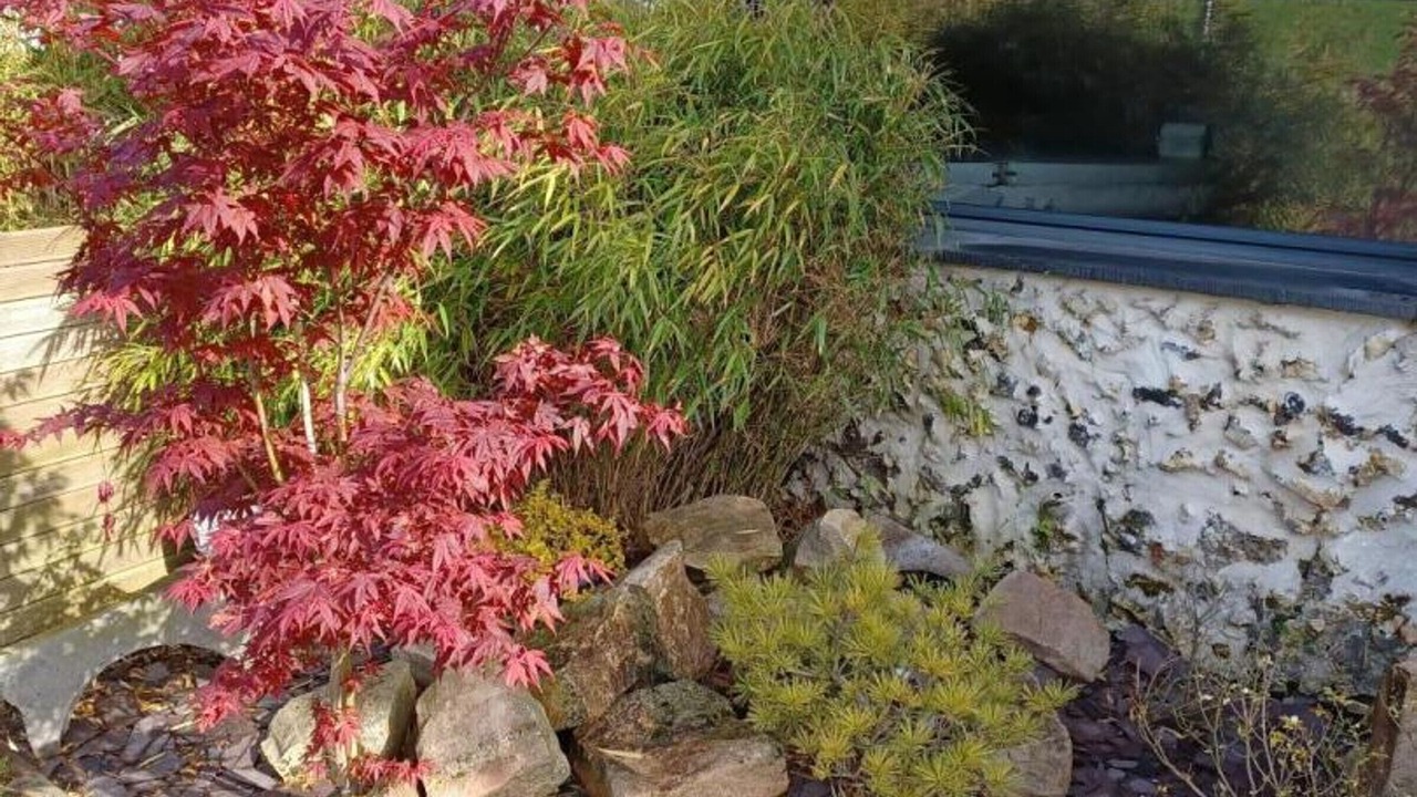 Photo of Outdoor in Neuville-en-Avesnois