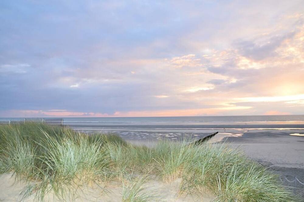 Photo of Others in Berck-sur-Mer