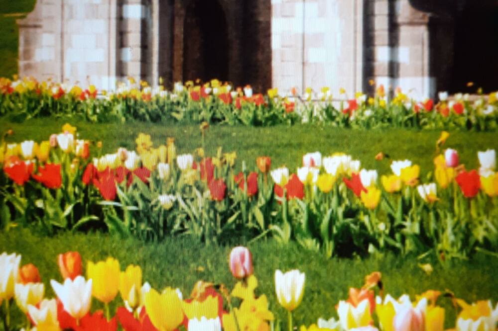 Photo of Outdoor in Gravelines