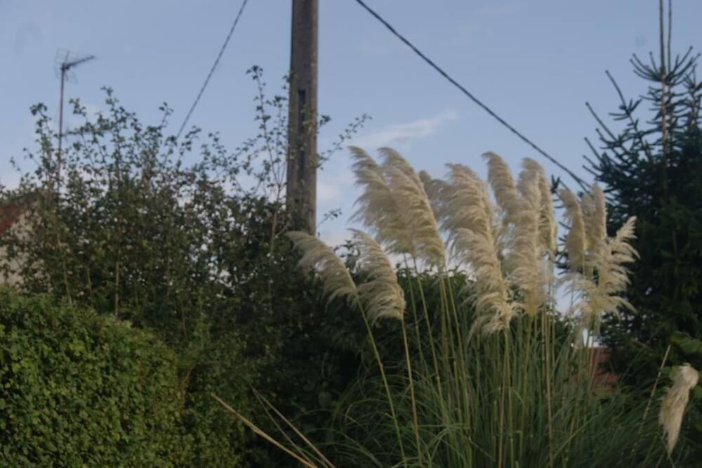 Photo of Outdoor in Alincthun