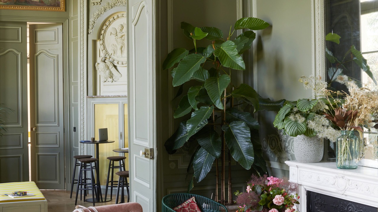 Photo of Others in Saint-Germain-en-Laye