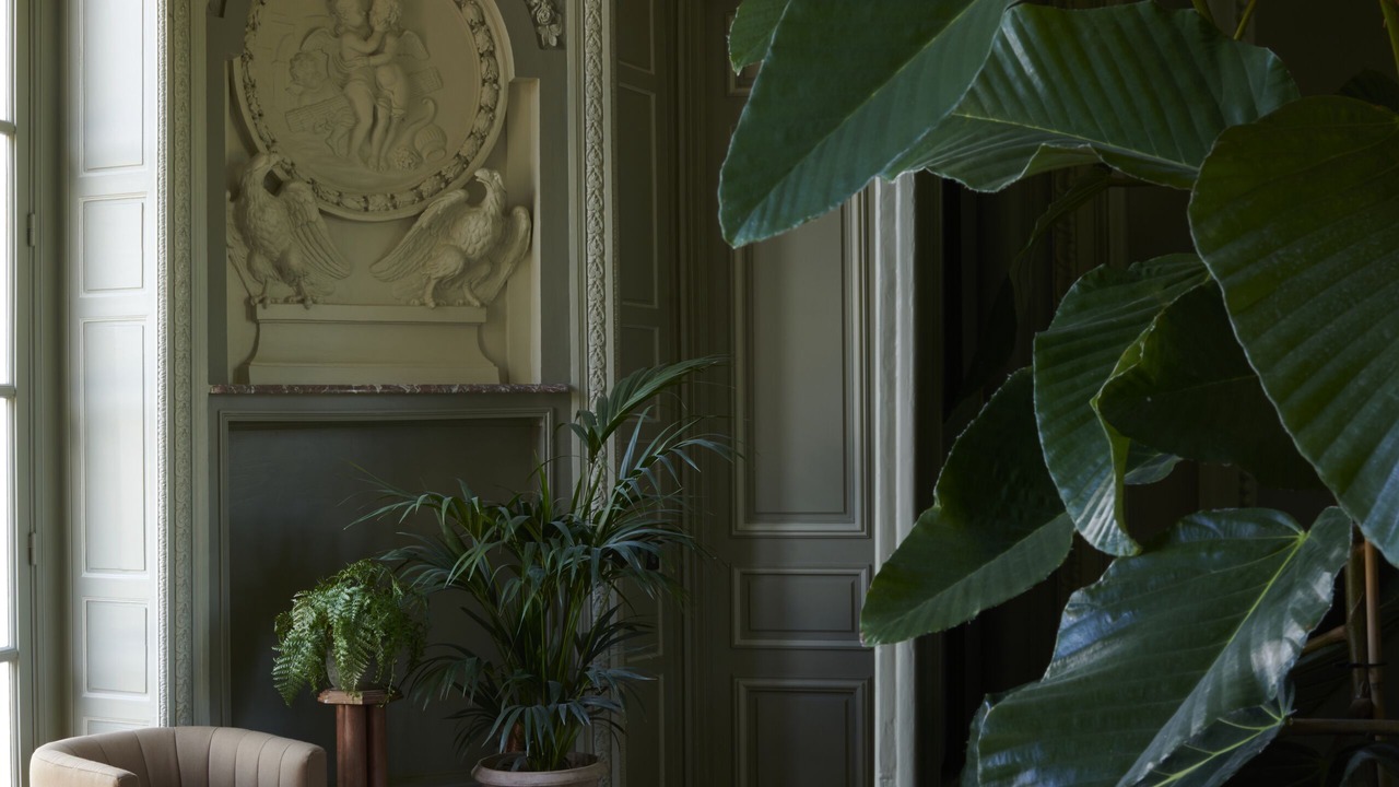 Photo of Others in Saint-Germain-en-Laye