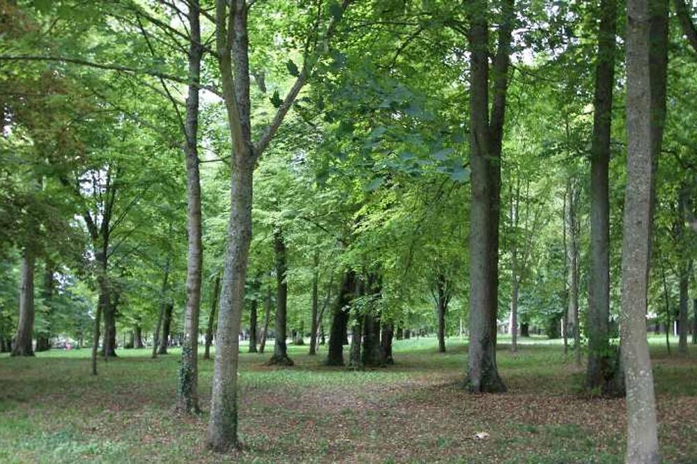 Photo of Outdoor in Mesnieres-en-Bray