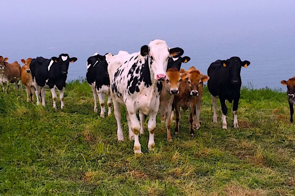 Photo of Others in Yport