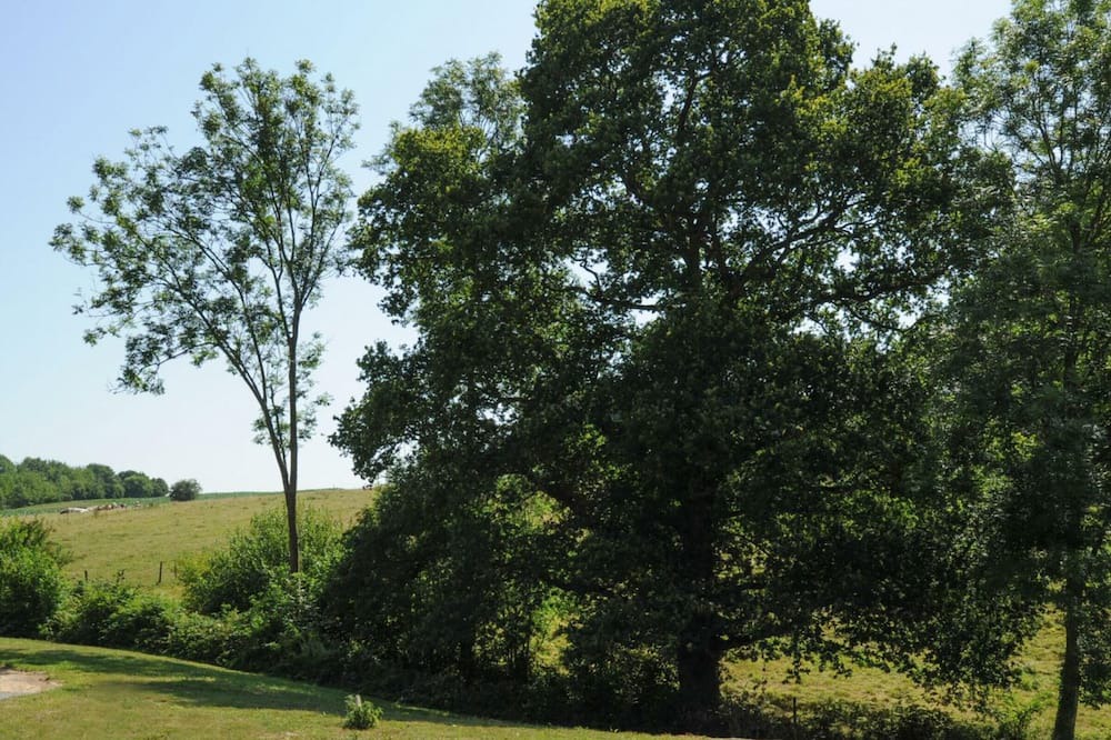 Photo of Outdoor in Le Hanouard